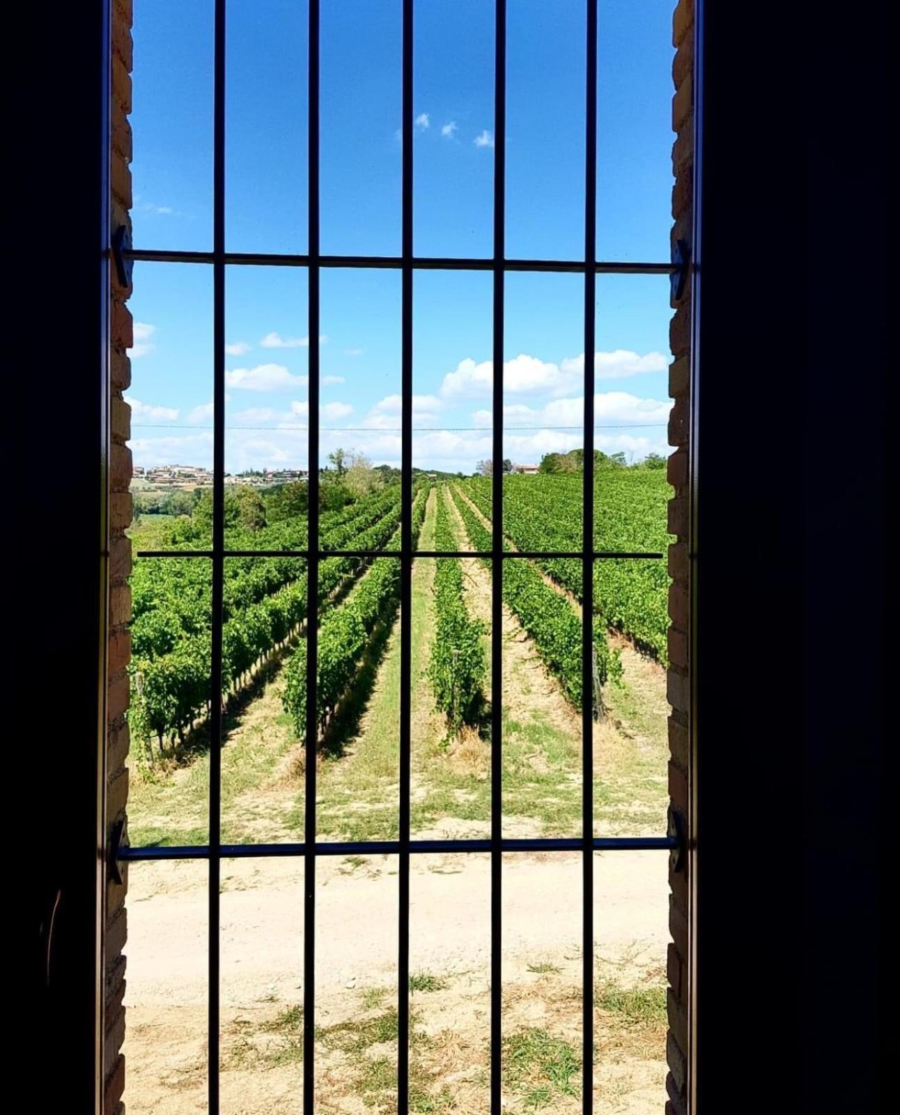 Agriturismo Il Divin Casale Torgiano Exterior foto