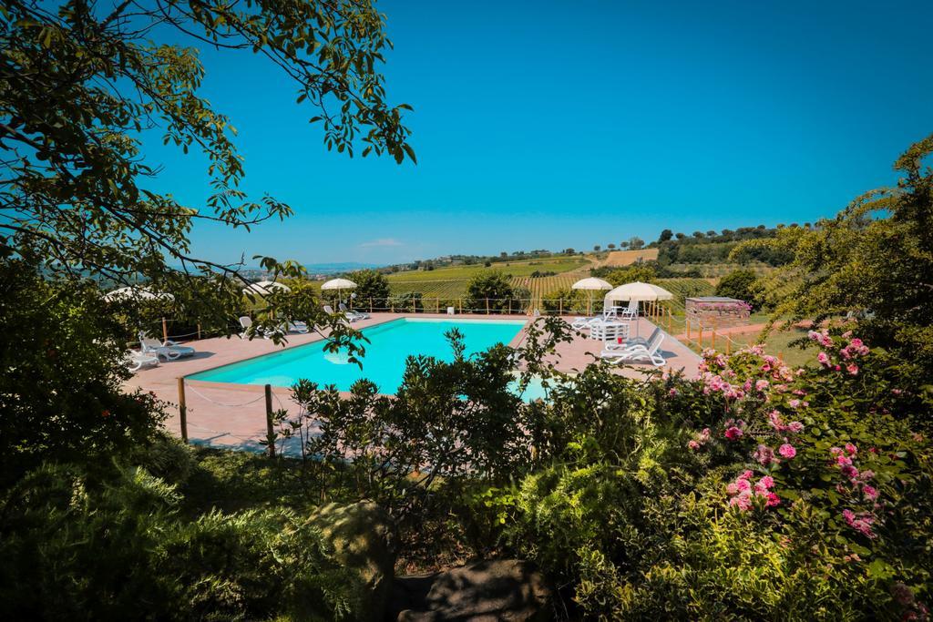 Agriturismo Il Divin Casale Torgiano Exterior foto